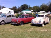 Beetle Show Rioz (102)